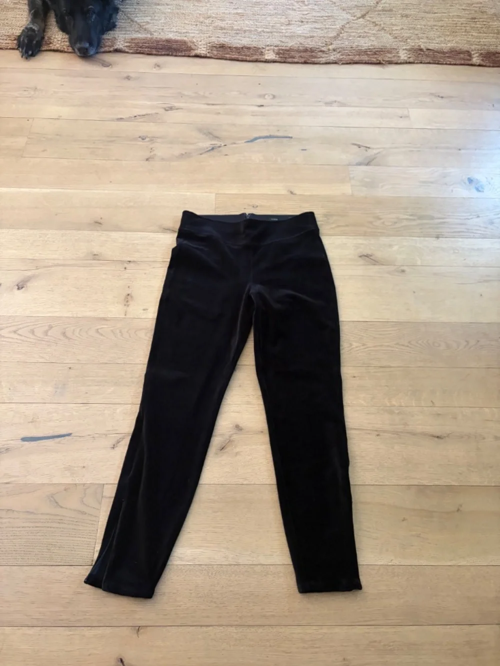 NWT J.Crew Italian Stretch Velvet Leggings Black Mario Bellucci PANTS M NEW